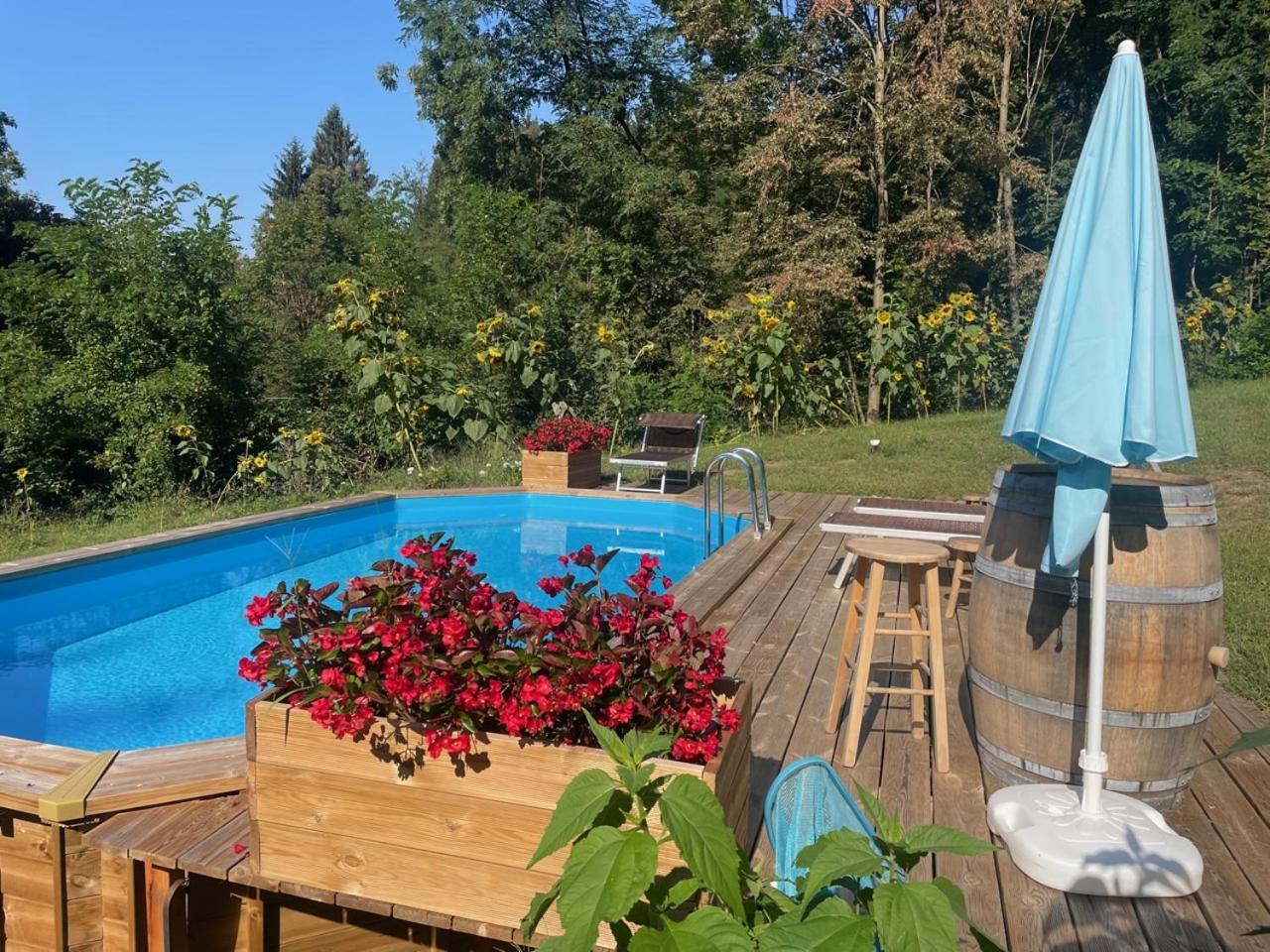 Cozy Nature House Villa Colico Dış mekan fotoğraf