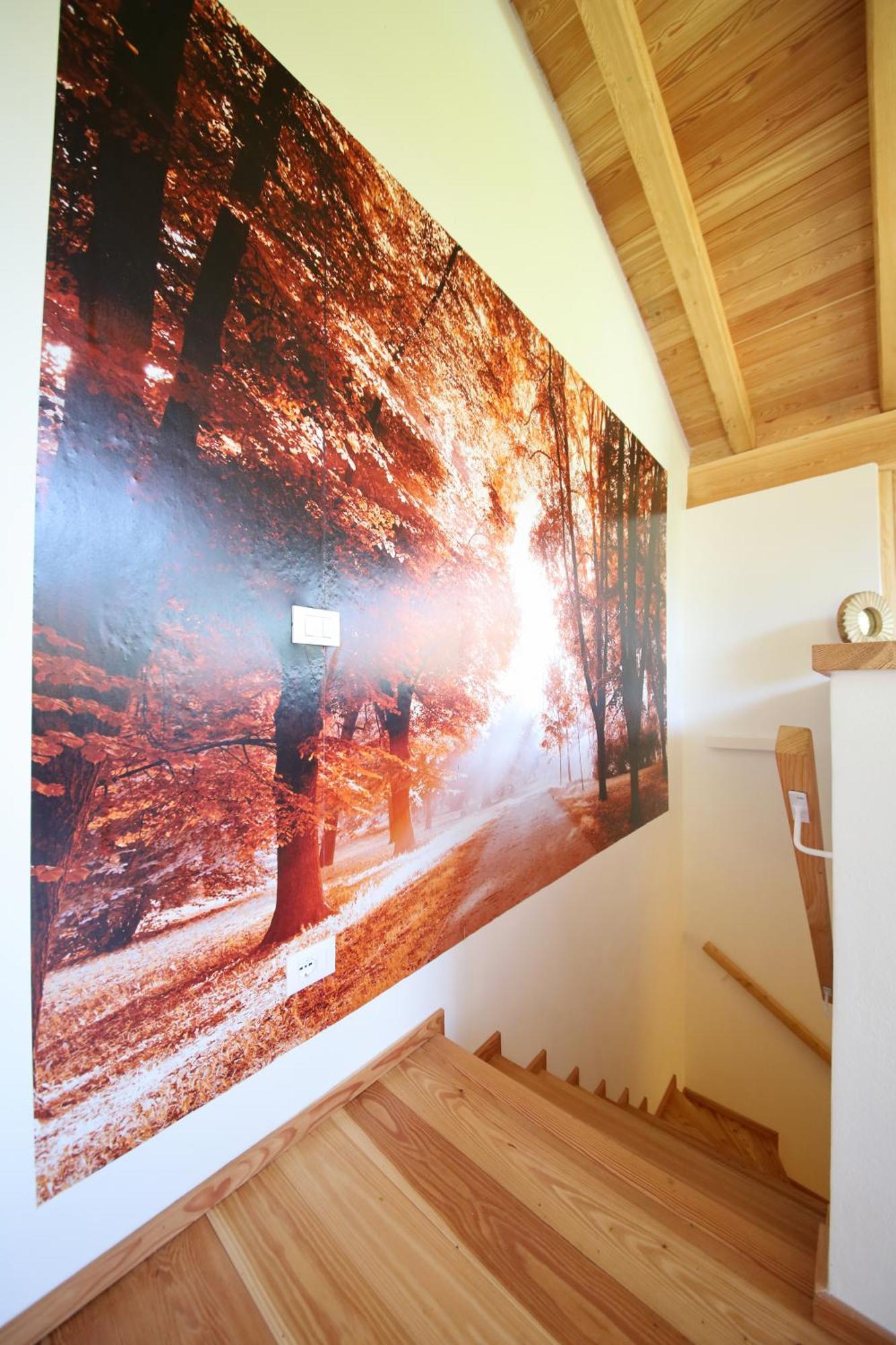 Cozy Nature House Villa Colico Dış mekan fotoğraf